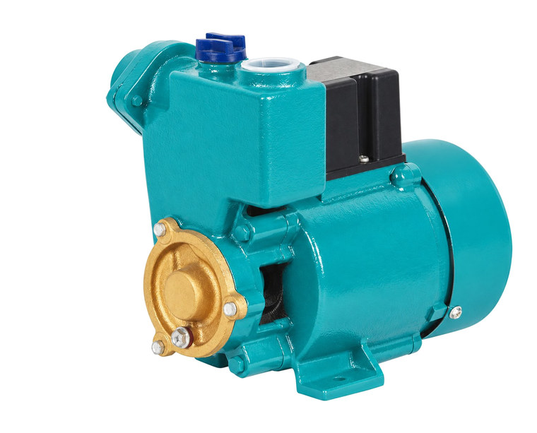 GP125 water pump photo