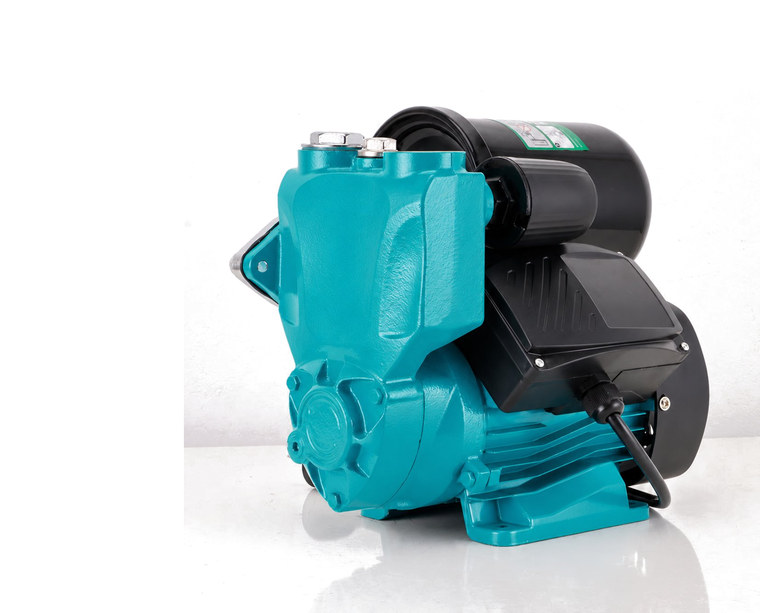 WZB Model water pump photo